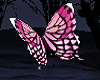 Pink n White Butterflies