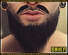 Realistic Beard I.