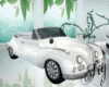 [Sig] White Vintage Car