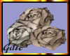 Sepia Roses 1