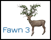 Fawn 3