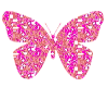 {7q} Butterfly pink