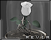 R║ Magical White Rose