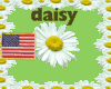 Daisy Chain Frame