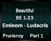 Eminem-BeautifulRemix P1