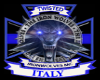 TWI  ITALY BANNER