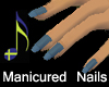 Denim Blue Manicure
