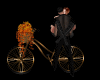 Romantic Bicycle w Pose