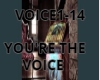 YOU'RE THE VOICE