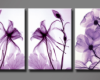 3 Purple Passion Flowers