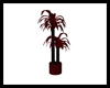 Blood Red Potted Palm