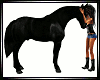 Horse Love ~ Solid Black
