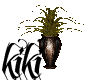 [kiki]tropical plant