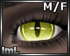 lmL Rise Sun2 M/F