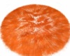 Storm's rug/orange