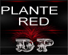 Animed Plante red/black