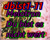 dbist1-11/Melotron
