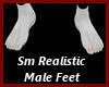 *Realistic M Feet N Toes