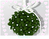 ♡ Pretty Mistletoe