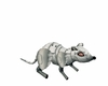 NPC Mad Scientific Rat