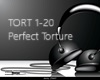 {R} Perfect Torture