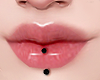 🤍 Lips Piercing ®