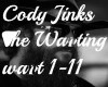 Cody Jinks - The Wanting