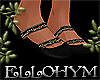 ~E- Gypsy Flats