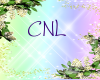 [CNL]DOC flower 13