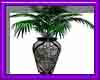 (sm)grey black vase fern