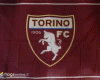 flag torino + song