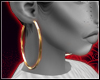 Gold Hoops ♥