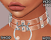 Transparent Collar