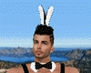 MF Bunny Male Outfit