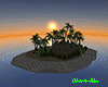 Ch Sunset love island-F