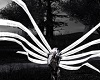 Animated Archangel 2