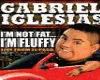 fluffy gabriel vb 2-2