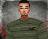 HOLLISTER SWEATER [4]