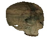 SN Stone Skull