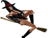 Witch Broom 22Poses
