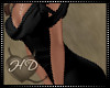 HD Allure Gown 3