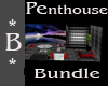 *B* LOVE Penthousebundle