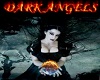 Dark Angels Picture