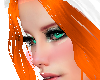 WINTER GINGER