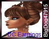[BD] DC Earrrings
