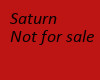 Briony Saturn