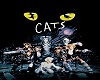 CATS MUSICAL ROOM