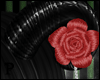 p|Red Rose Horns
