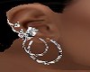 Silver Earrings n Hoops