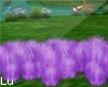 Purple Grass